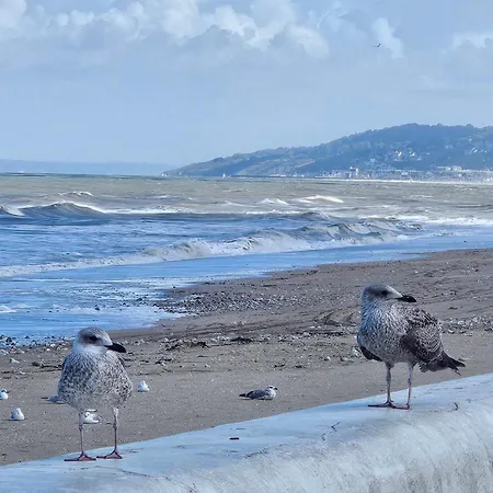 Plazza Front De Appartement *
