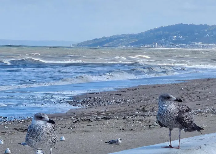 Plazza Front De Appartement *